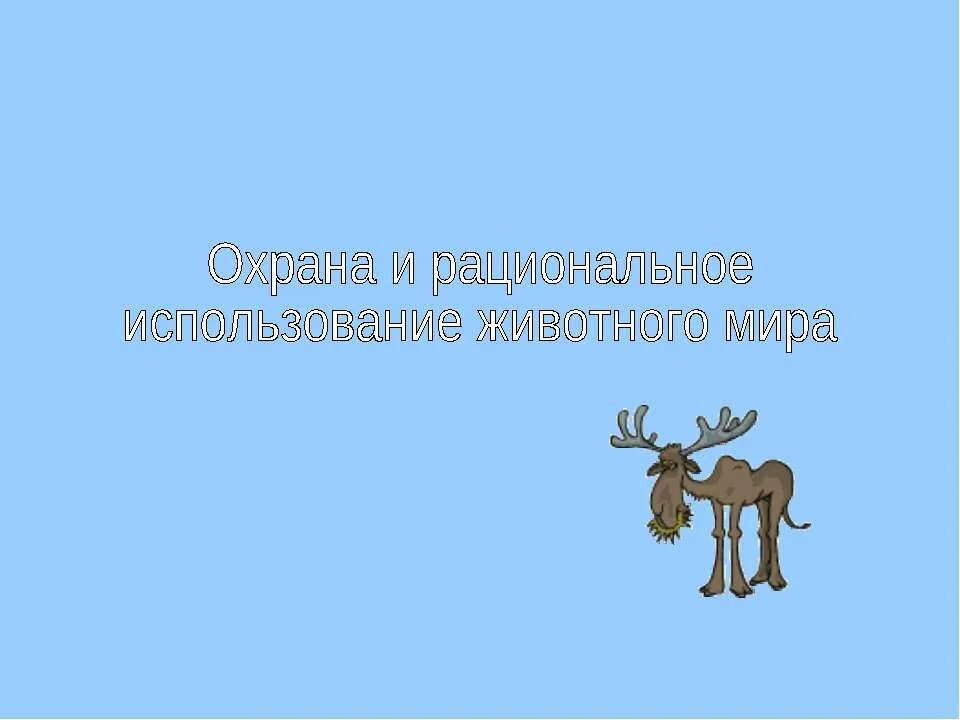 Рациональное использование животных. Рациональное использование и охрана животных.