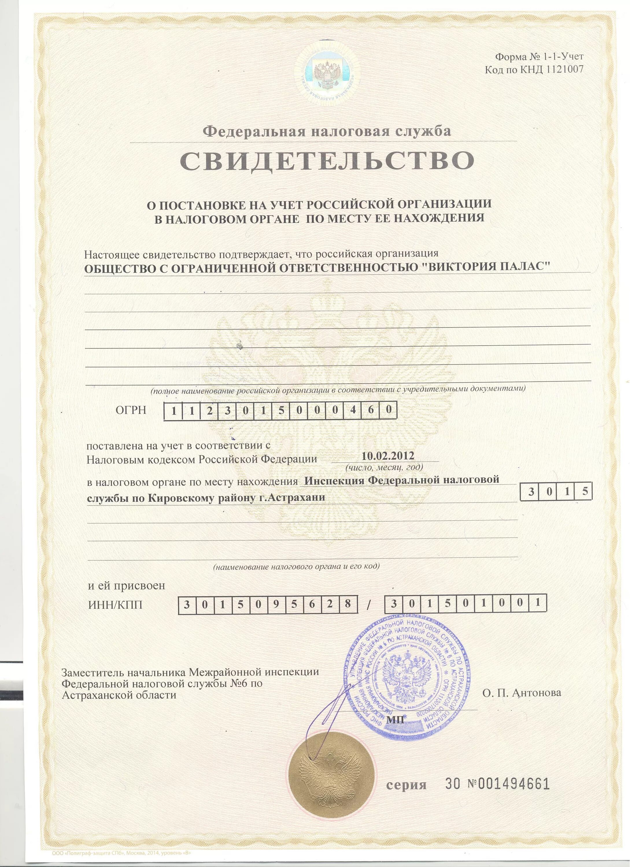 Свидетельство огрн ооо. Свидетельство огрн. Огрн индивидуального предпринимателя. Е огрн. Свидетельство огрн для ип.