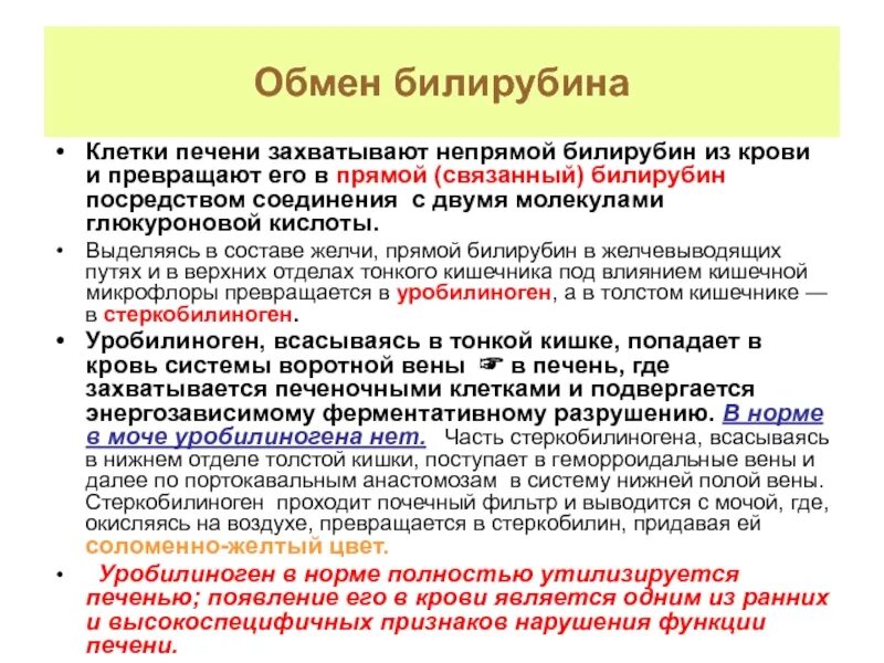 Непрямой билирубин является. Билирубин непрямой в печень. прямой связанный билирубин. повышен непрямой билирубин в крови причины у взрослых. обмен билирубина в печени.