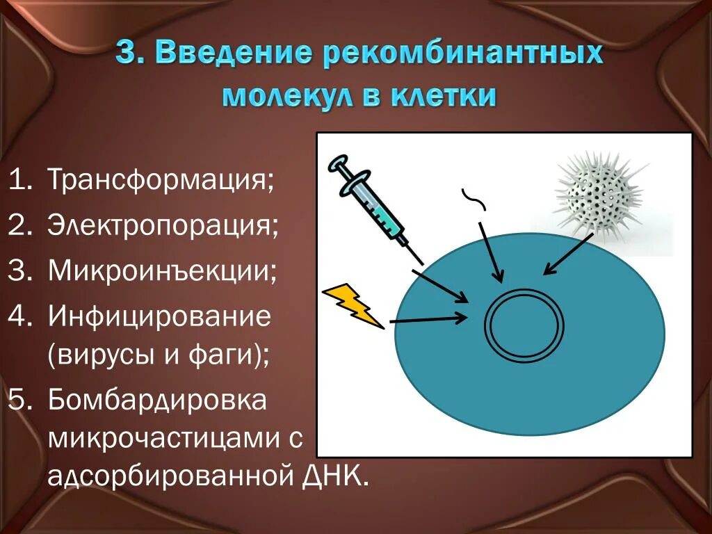 Методы введения днк. Методы введения рекомбинантных молекул в клетки. Введение рекомбинантных молекул ДНК В клетки.. Введение рекомбинантной ДНК В клетку. Введение рекомбинантной ДНК В клетки или организмы..