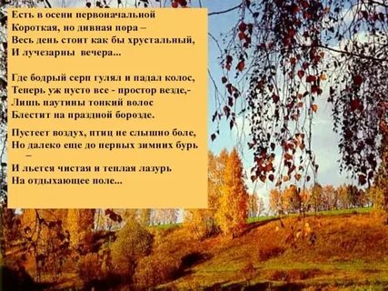 Короткая но дивная