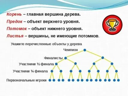 C вершина дерева