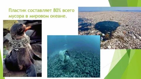 Экологические проблемы мирового океана 7 класс