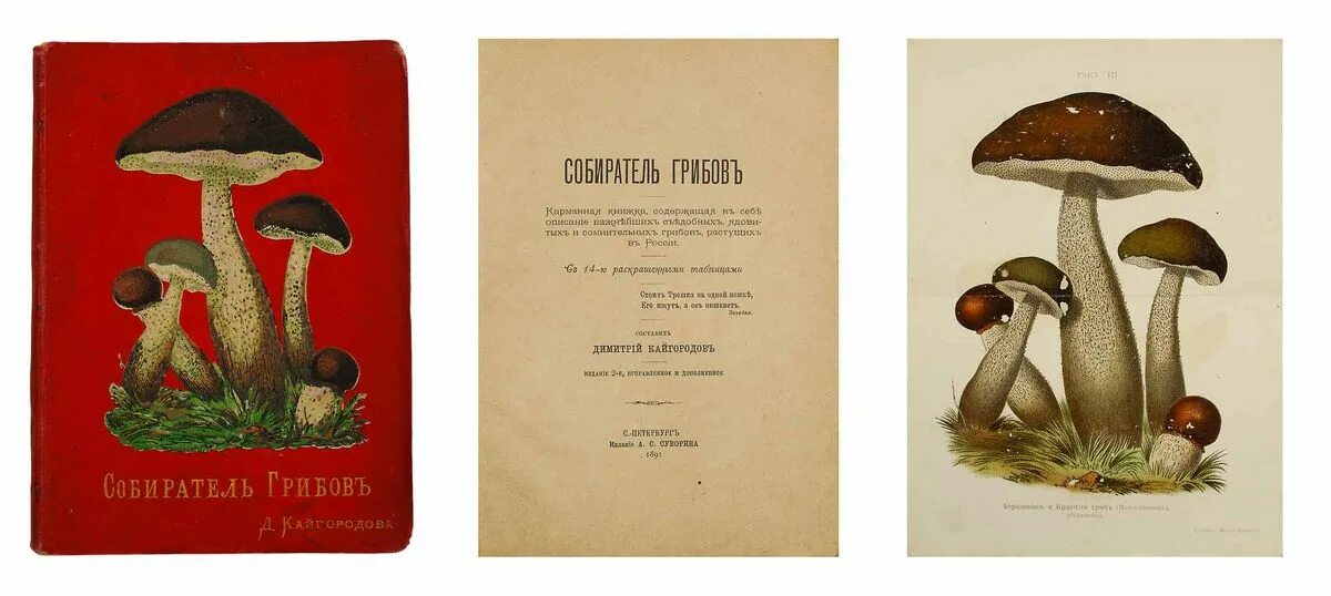 поведай мне. о чем мне поведали грибы. о чем мне поведали грибы. съедобные и ядовитые грибы кубани коваленко. е.