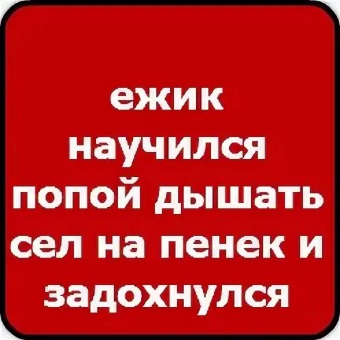 Ежик научился дышать попой сел на пенек и задохнулся. Анекдот Ежик научился дышать попой сел на пенек и задохнулся. Анекдот про ежика который научился дышать попой. Ежик научился дышать попой