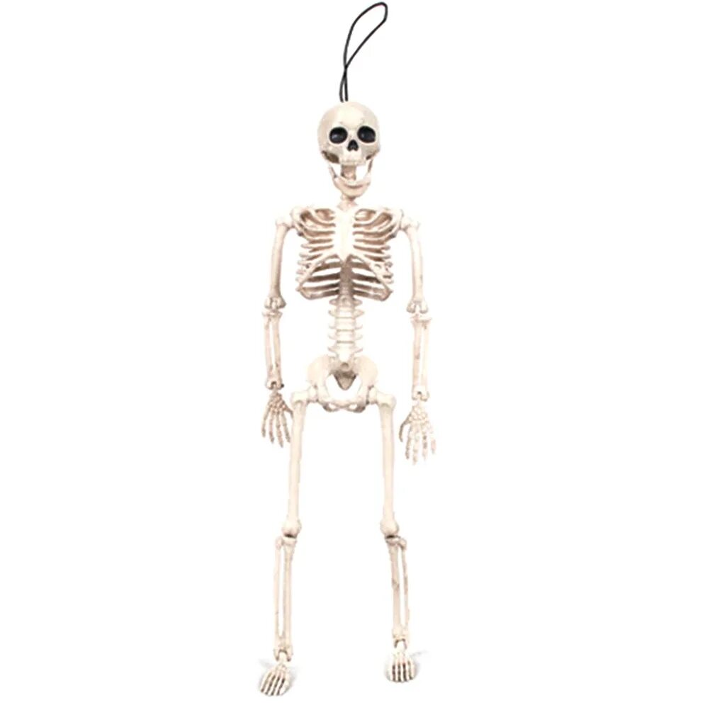 Фигурка скелета. Игрушка скелетик. Резиновый скелет. Игрушка механическая скелет. Игрушка скелет.