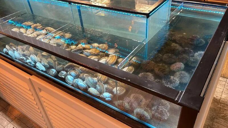 Море море ресторан. Вижу море новороссийск ресторан. Набережная адмирала серебрякова 27а. Адмирала серебрякова 27а новороссийск. Ресторан вижу море новороссийск.