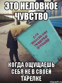 Не в своей тарелке значение фразеологизма