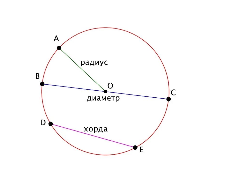 Окружность радиус диаметр хорда. Круг радиус диаметр хорда. Окружность радиус хорда диаметр круг. Окружность центр радиус хорда диаметр окружности. Изобразить окружность центр радиус диаметр хорда