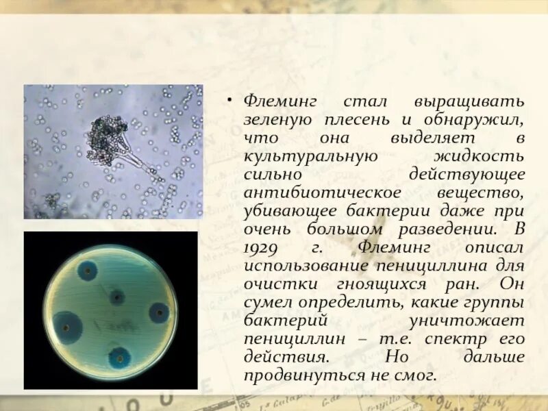 Вещества убивающие микробы