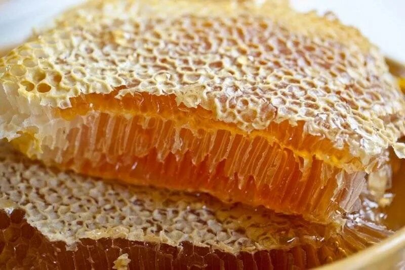 Воск в сотах. Мёд в сотах. Соты меда. Пчелиный мед в сотах. Пчелиный воск в сотах.
