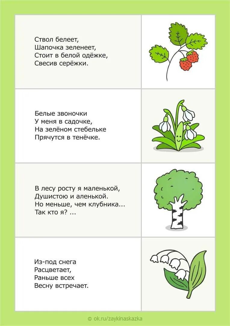 Загадка про картинки