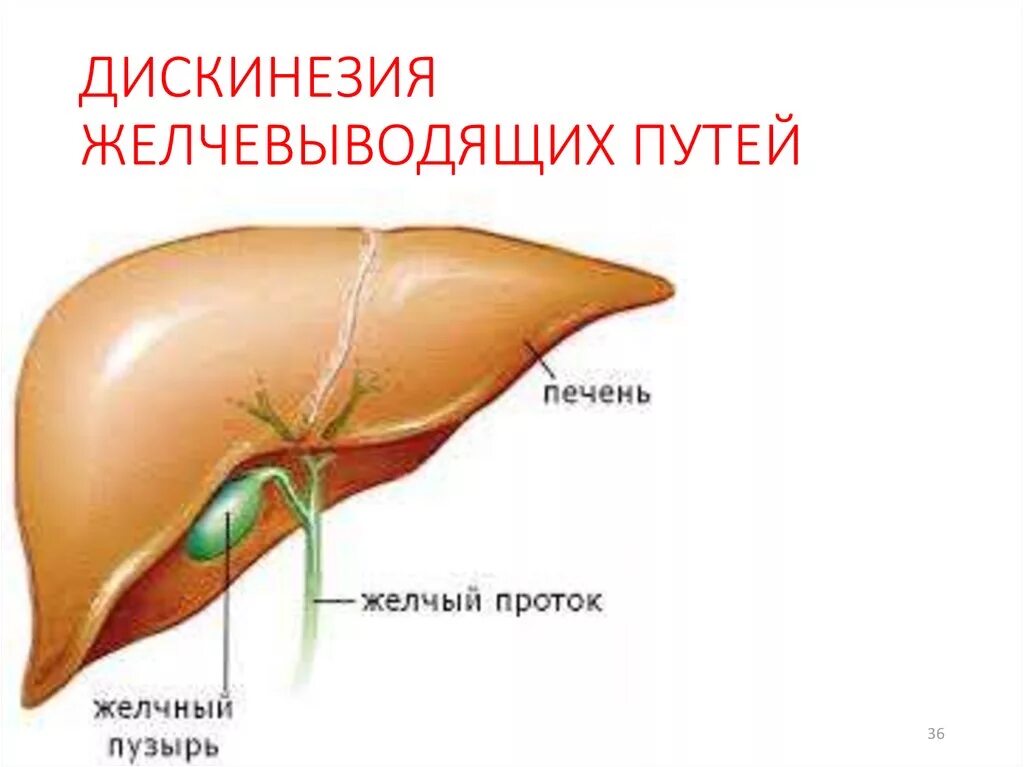 Симптомы желчного пузыря форум