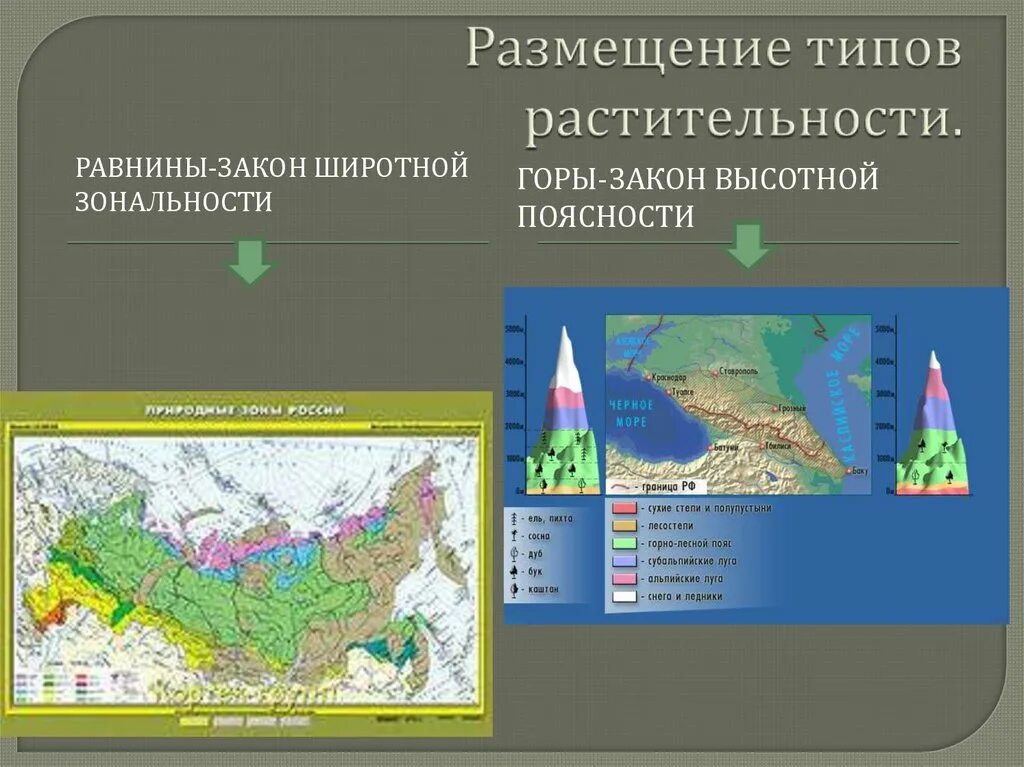 Главная причина широтной зональности изменение. Зональность растительности. Широтная зональность. Широтная и Высотная поясность. Широтная зональность растительности.