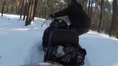 Видео тайги варяг
