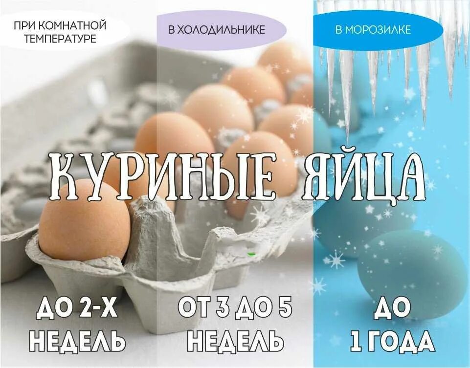 Сколько хранить домашнее яйцо. СОИК хранения яиц в холодильнике. Срок хранения яиц в холодильнике. Срок хранения куриных яиц. Срок годности хранения яиц в холодильнике.