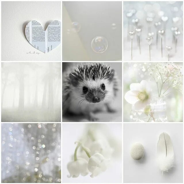 64 little white things