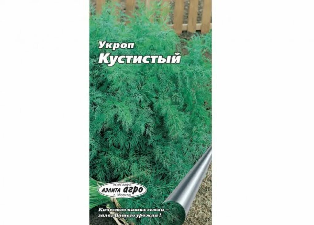 Какой сорт укропа. Семена укропа без зонтиков на зелень. сорта укропа на зелень без зонтиков в открытом грунте. укроп без зонтиков сорта. укроп без зонтиков название сорта.