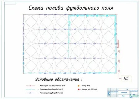 Разбор слов полить полей полейте