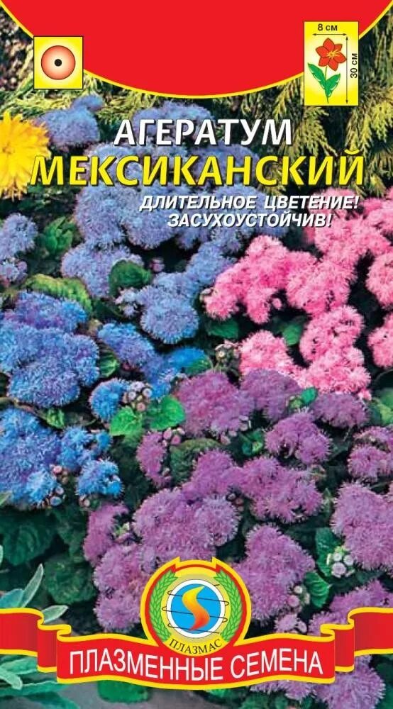 Агератум сокровища ацтеков смесь. Агератум мексиканский смесь. Агератум однолетник. Цветок садовый однолетний агератум. Агератум семена купить