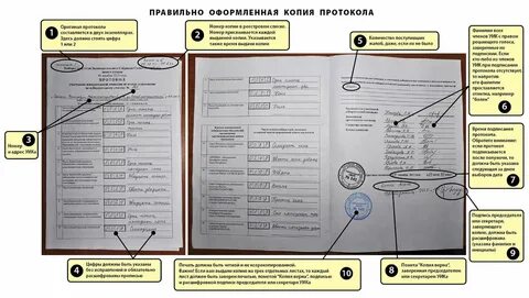 Как пишут копия верна