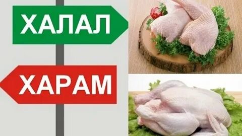 Халяль и харам