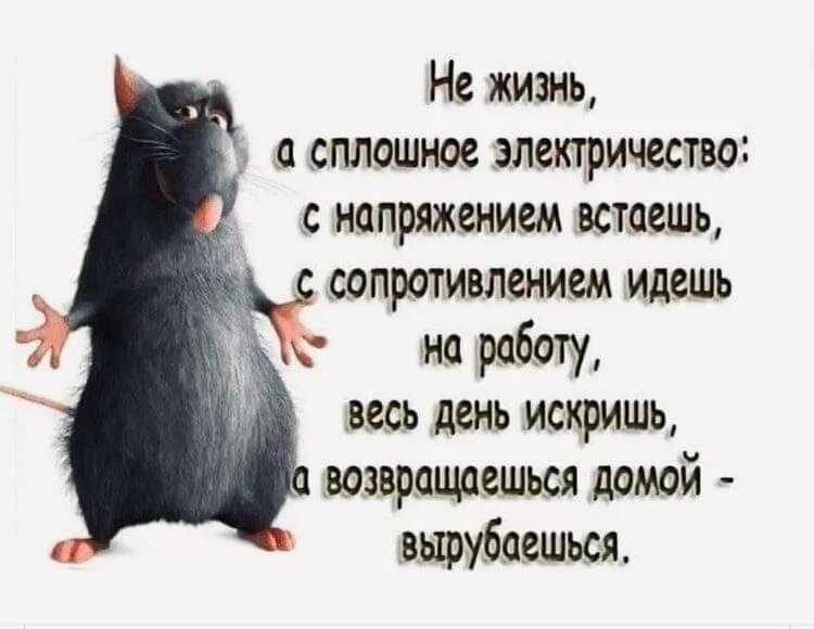 Можно я пойду домой. Статус на работе веселый. Статусы про работу прикольные. Цитаты про работу смешные. Открытки про работу.