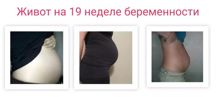 Ощущение 19 недель. Живот на 19 неделе. Живот на 19 неделе беременности. Живот на 18-19 неделе беременности. Живот при беременности на 19 неделе.