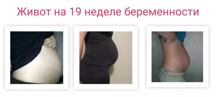 Живот на 19 неделе. Живот на 19 неделе беременности. Живот на 18-19 неделе беременности. Живот при беременности на 19 неделе.