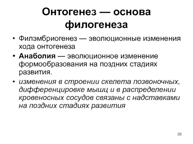 Работа по онтогенезу 10 класс. Онтогенез. Онтогенез презентация. Основы онтогенеза. Эволюция онтогенеза.