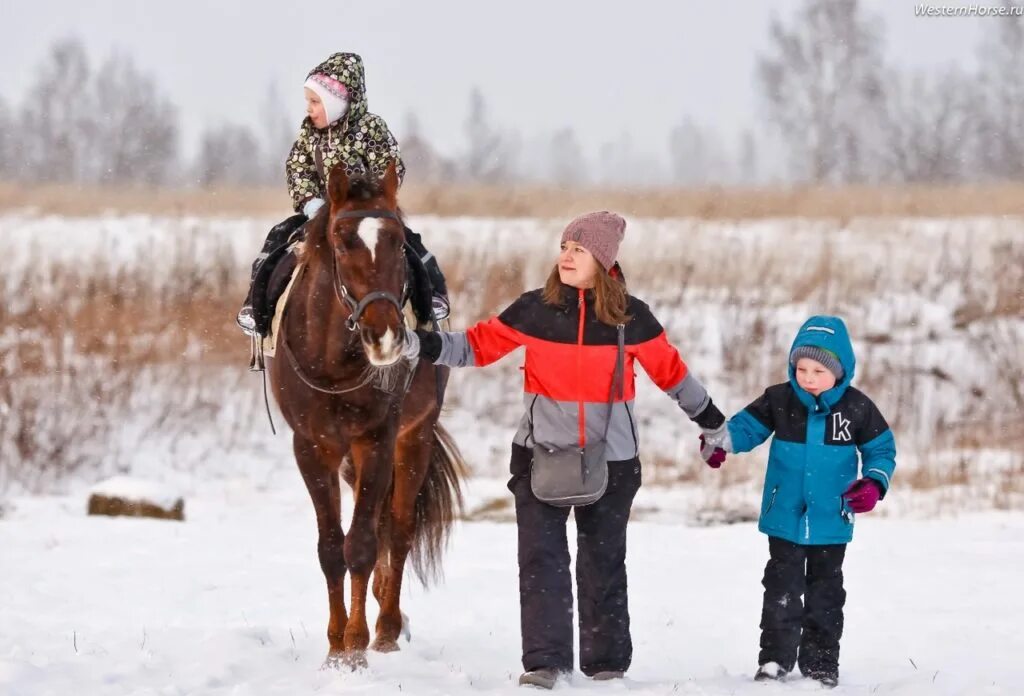 Весенние каникулы куда сходить в спб. Прогулка на лошадях зимой. Прогулка на лошадях с детьми. Конные прогулки дети. Дети катаются на лошадях зимой.