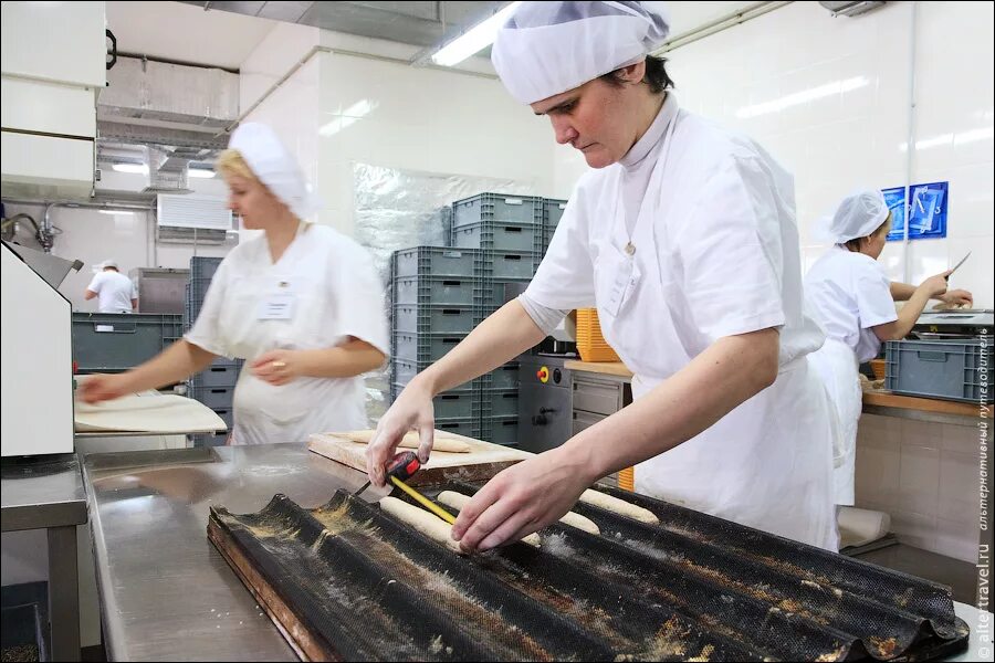 причины нарушения ритмичности производства. причины производственных аварий. продовольственная безопасность страны. трудовая и технологическая дисциплина. причины возникновения аварий.