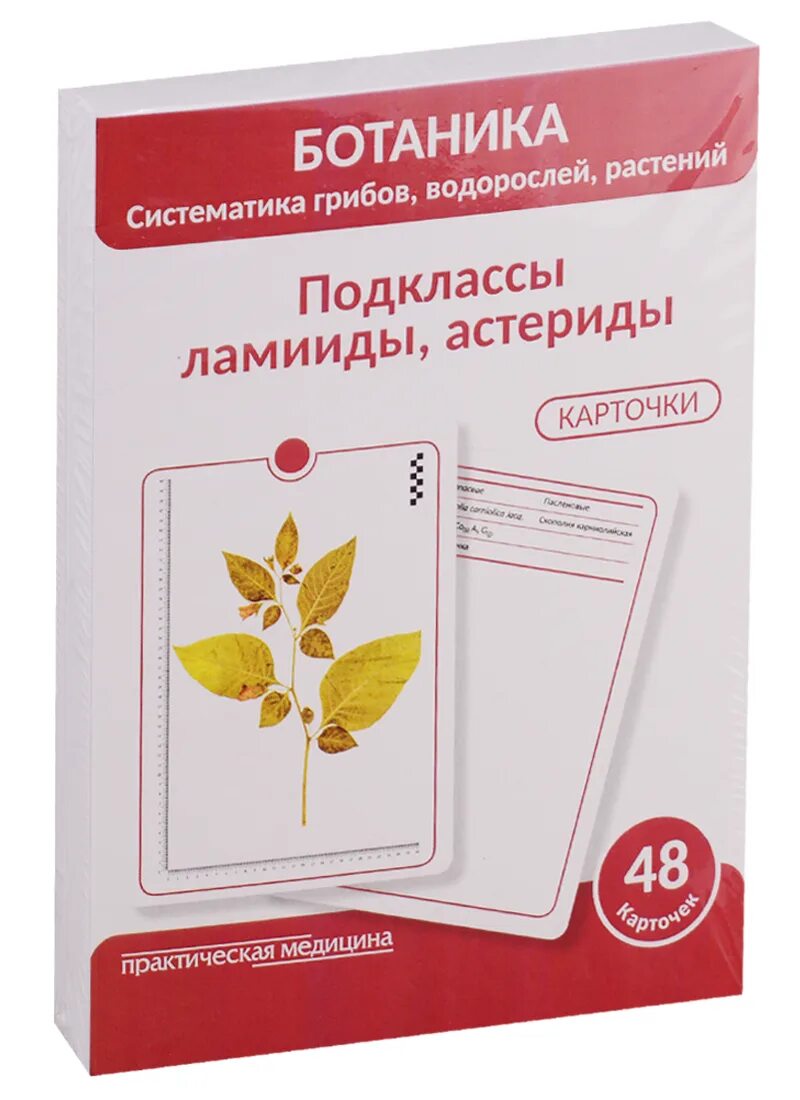 Ботаника систематика растений. Систематика растений. Ботаник систематик. Систематикцарства растений. Систематика растений биология.