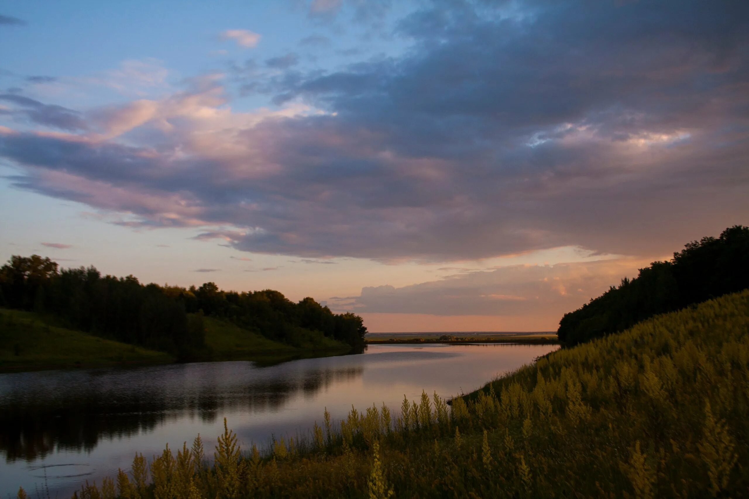 Ласковый край. «Природа родного края. Тайга».Хакасии. Красота нашего края. Родной край. Природа родные края.