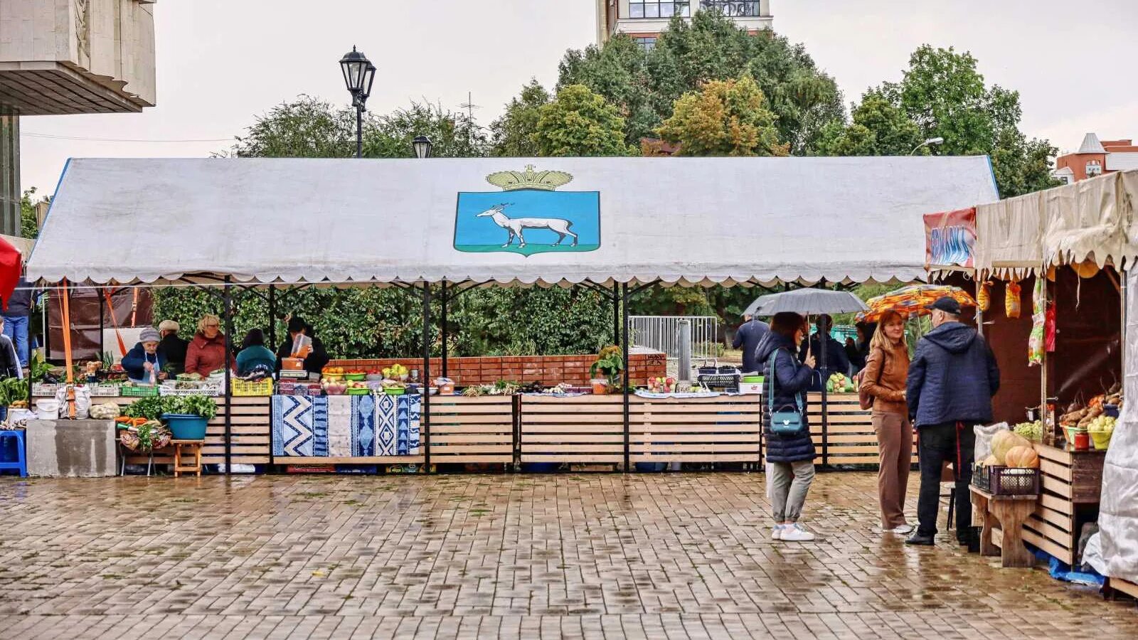 Ярмарка в самаре. Усть кинельская выставка 2022. Ярмарки в самаре 2024. Ярмарка самозанятых. Ярмарки в самаре 2024.