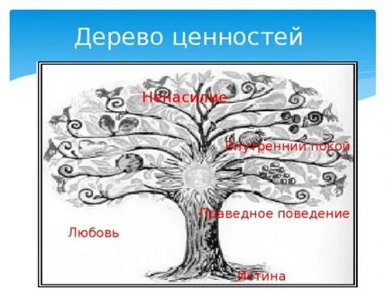 5 ценностей