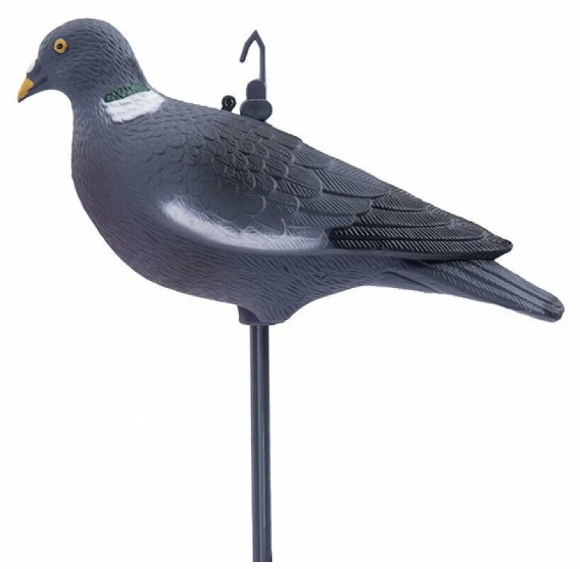 Махокрыл вяхиря. Чучело sport plast лесной голубь. Чучело голубь пластик из ебаи. Чучело sport plast лесной голубь. Вяхирь голубь.