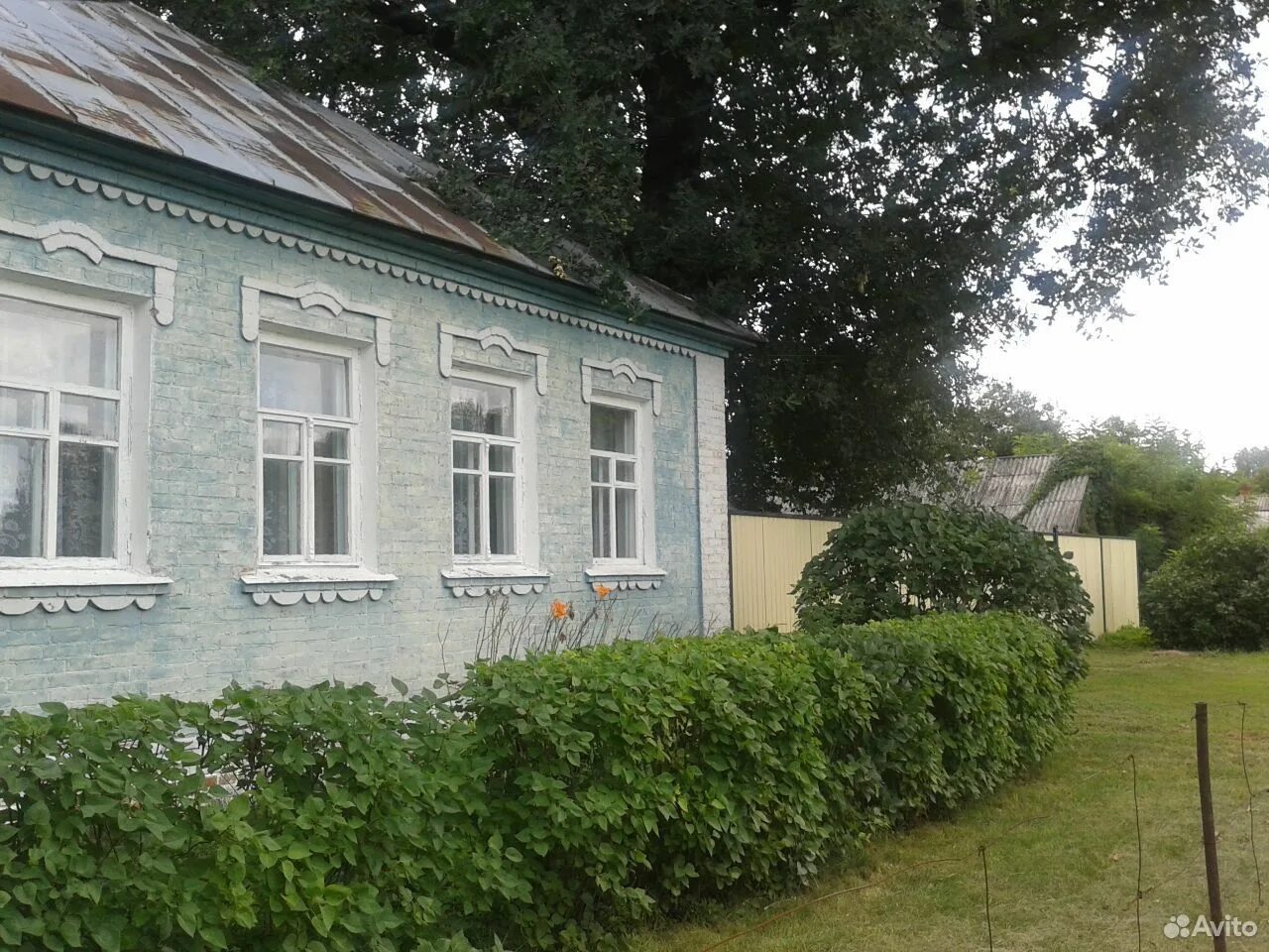 Село Козинка Грайворонского района. Козинка Грайворонский район Белгородская область. Село Козинка Грайворонского района Белгородской области. Козинка Грайворон Белгородская область.