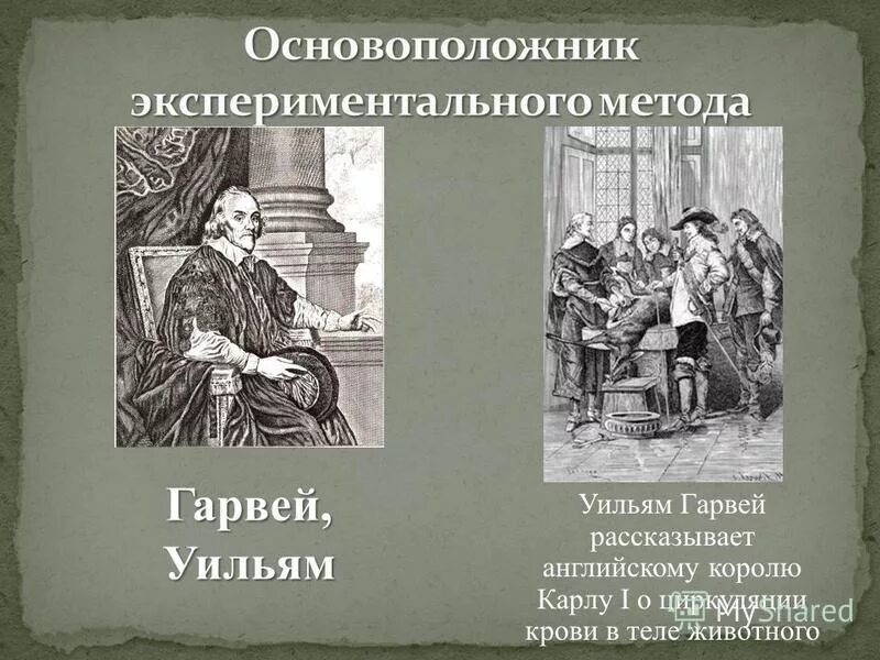 основоположником экспериментального метода. экспериментальная психология представители. основоположником экспериментального метода. основоположником экспериментального метода. основоположником экспериментального метода.