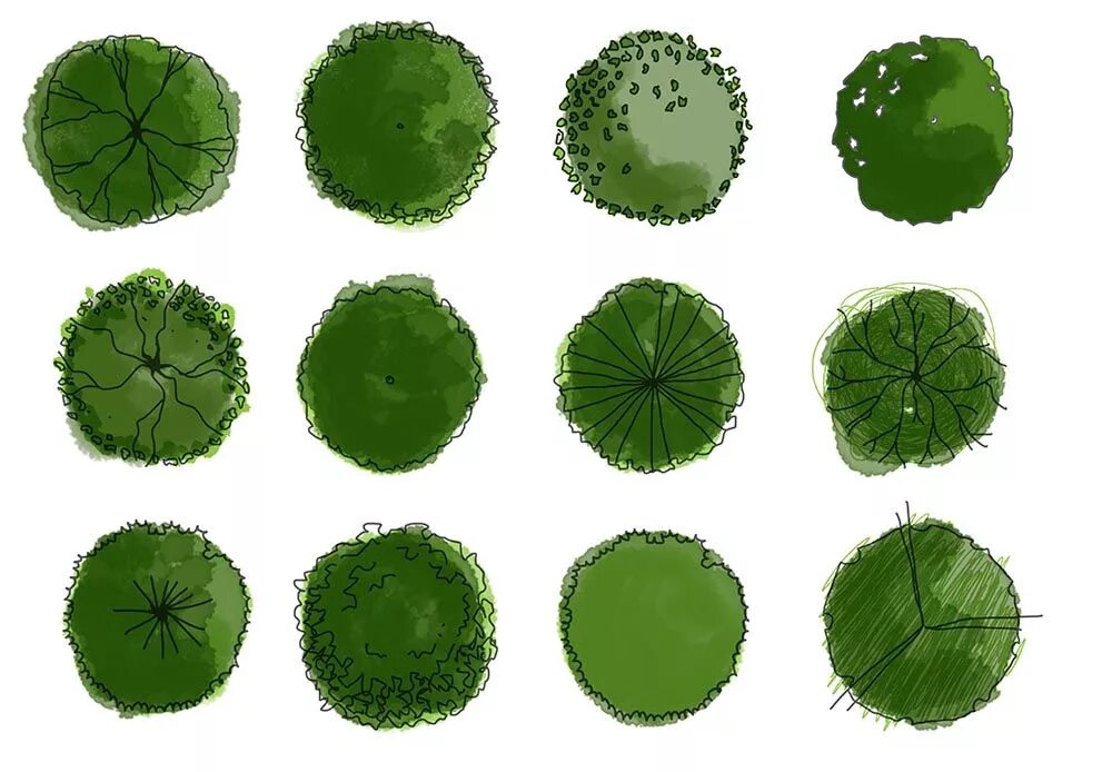 Деревья для генплана. Деревья вид сверху. Деревья и кустарники вид сверху. Растения для генплана.