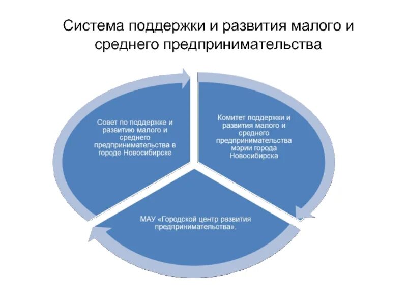 Система поддержки малого предпринимательства. Система государственной поддержки малого и среднего бизнеса. Система поддержания малого предпринимательства. Система поддержки малого предпринимательства в РФ.