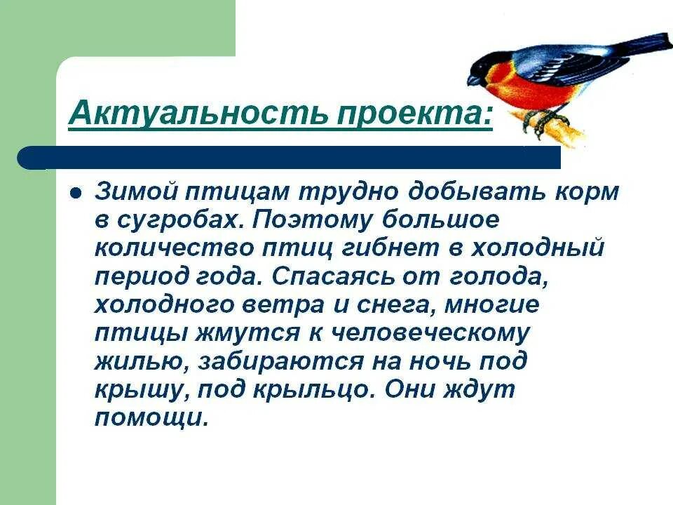 Помогите юэгую добыть мясо птицы 2. Проект про птиц. Актуальность проекта зимующие птицы. Актуальность проекта птицы зимой. Актуальность проекта про птиц.