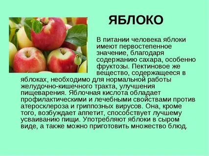 Какими свойствами обладают яблоки