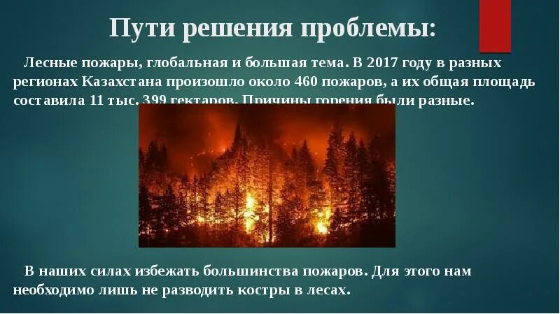 Пути решения лесных пожаров. Решение проблемы пожаров. Проблемы и решения пожаров леса. Решение проблемы пожаров в лесу.