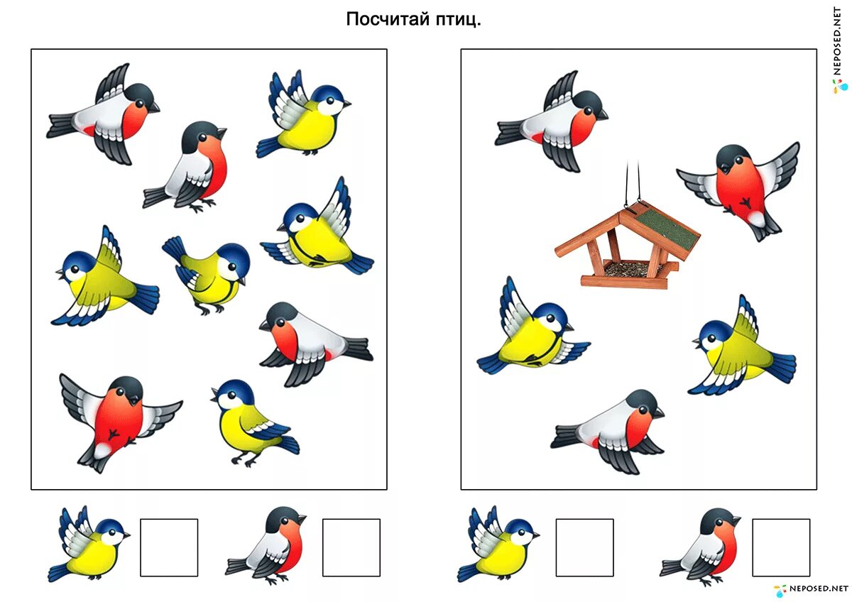 Игра птички младшая группа. Задания по теме зимующие птицы для дошкольников 5-6 лет. Задания на тему зимующие птицы. Задания по теме зиму.щие птицы. Зимующие птицы задания для детей.