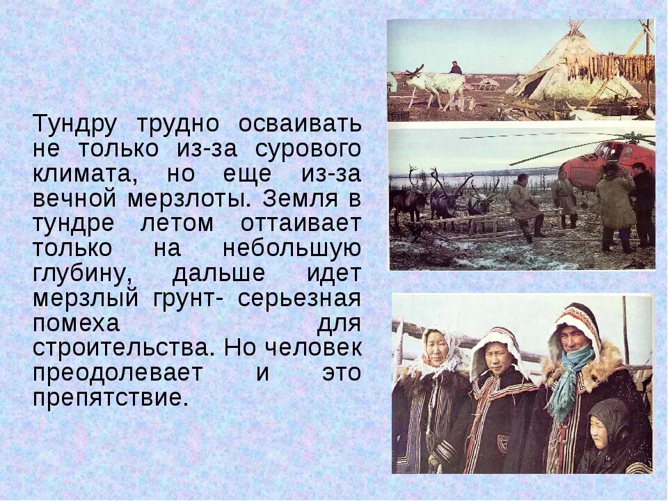 Рыболовство окружающий мир 4 класс. Тундра презентация. сообщение о тундре. рассказ о тундре 4 класс. проект по тундре.