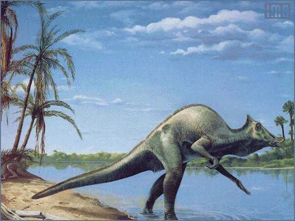 На рисунке изображен майаспондил вымершая рептилия. Зауролоф. Утконосый Гадрозавр. Зауролоф динозавр. Утконосый динозавр.