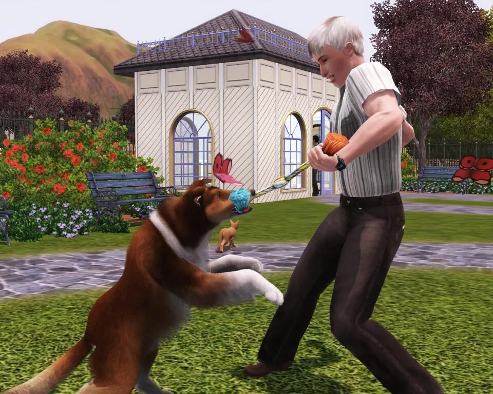 Pet 3 book. The SIMS 3 питомцы. SIMS 3 петс. Игра the SIMS 3 питомцы. The SIMS 3 Pets питомцы.