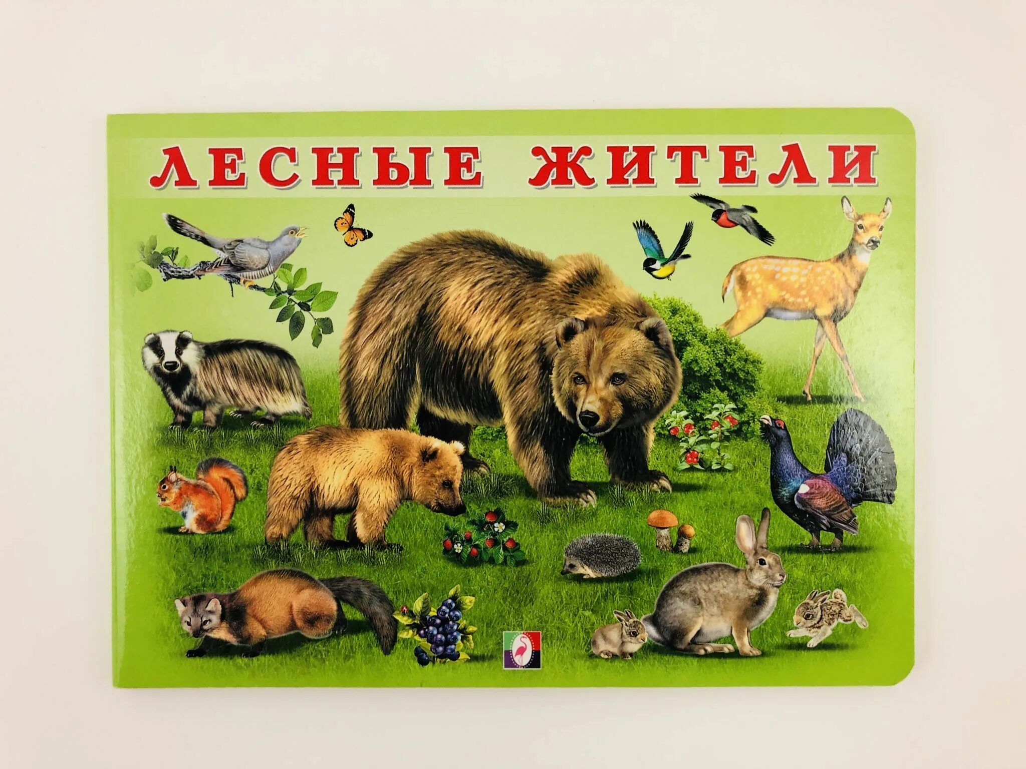 Материал о животных