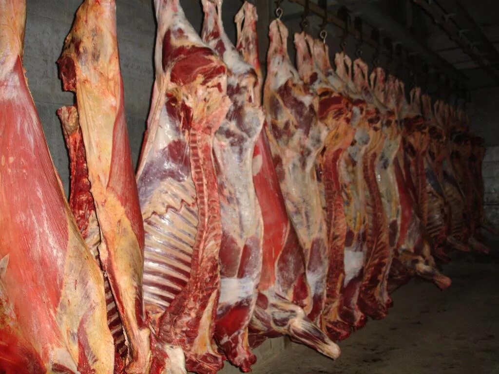 говядина тушах полутушах